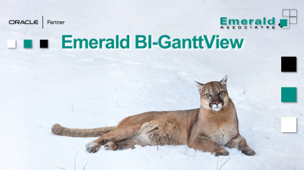 Comparing Progress Snapshots in Emerald BI-GanttView